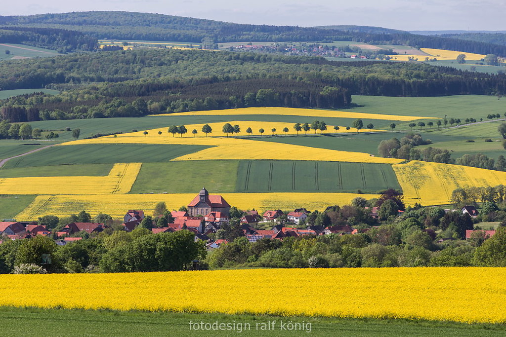 rk-fotodesign-1505-3856-Scheden-Buehren-Bramwald.JPG